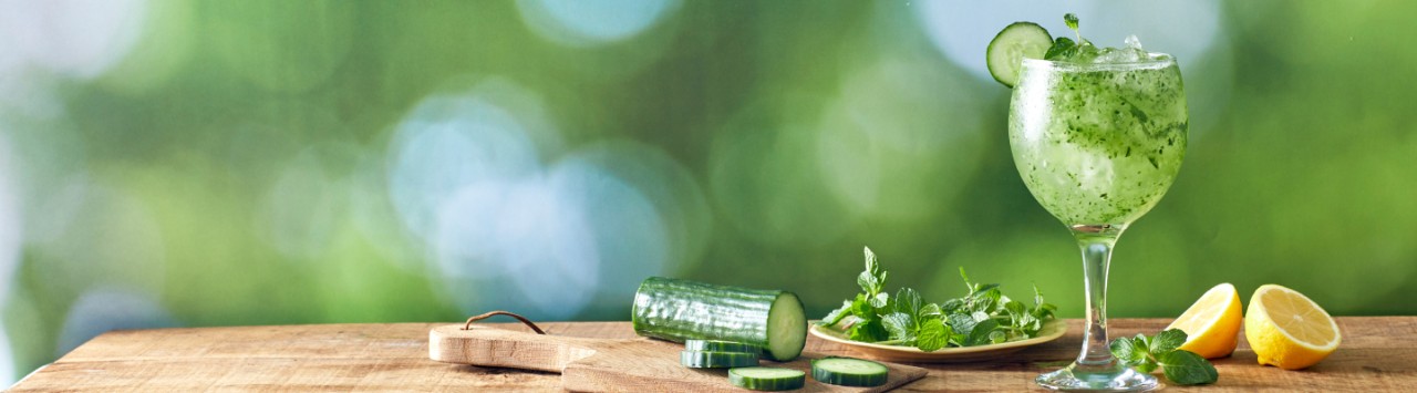 Cucumber & Mint Gin Cocktail